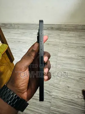 অ্যাপল আইফোন ১৪ প্রো ম্যাক্স ২৫৬ জিবি কালো