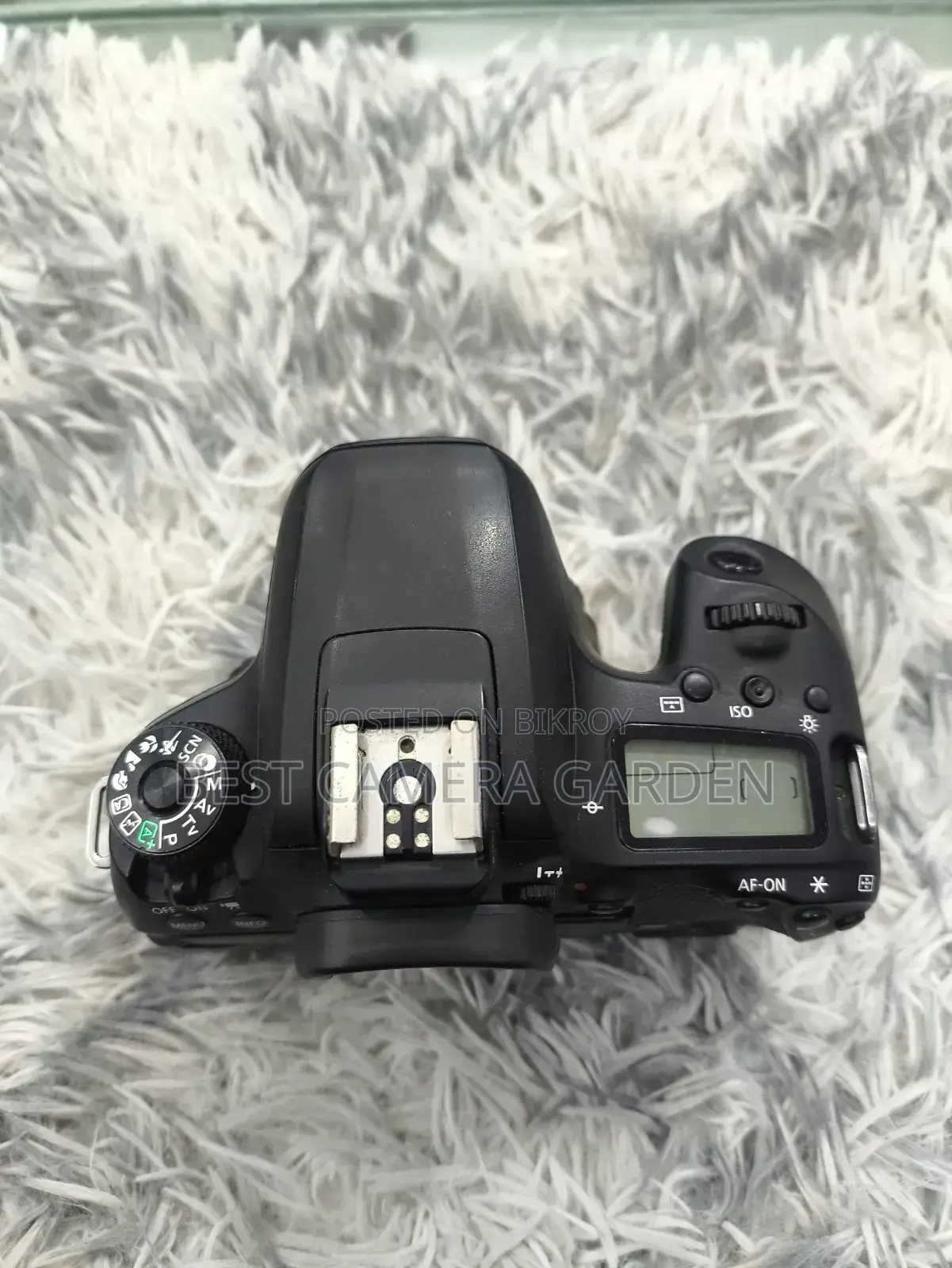 Canon 77D Only Body