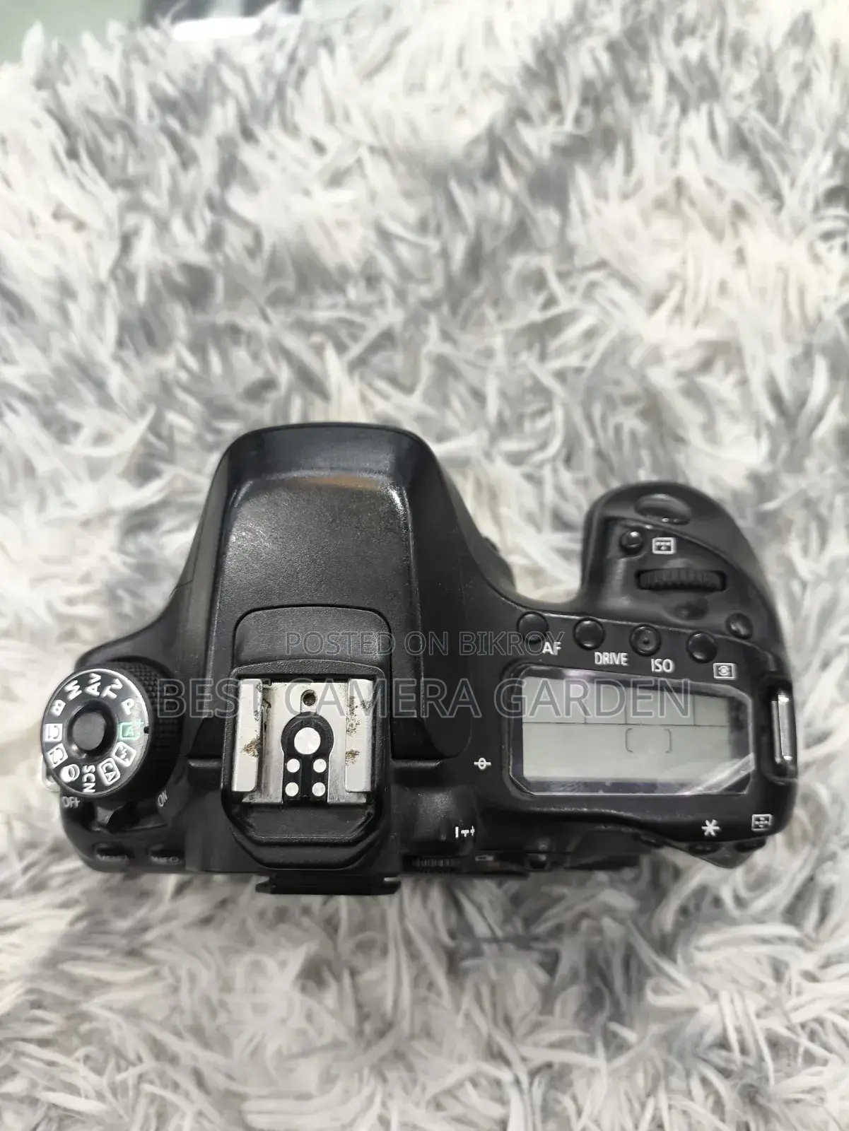 Canon 80D Only Body