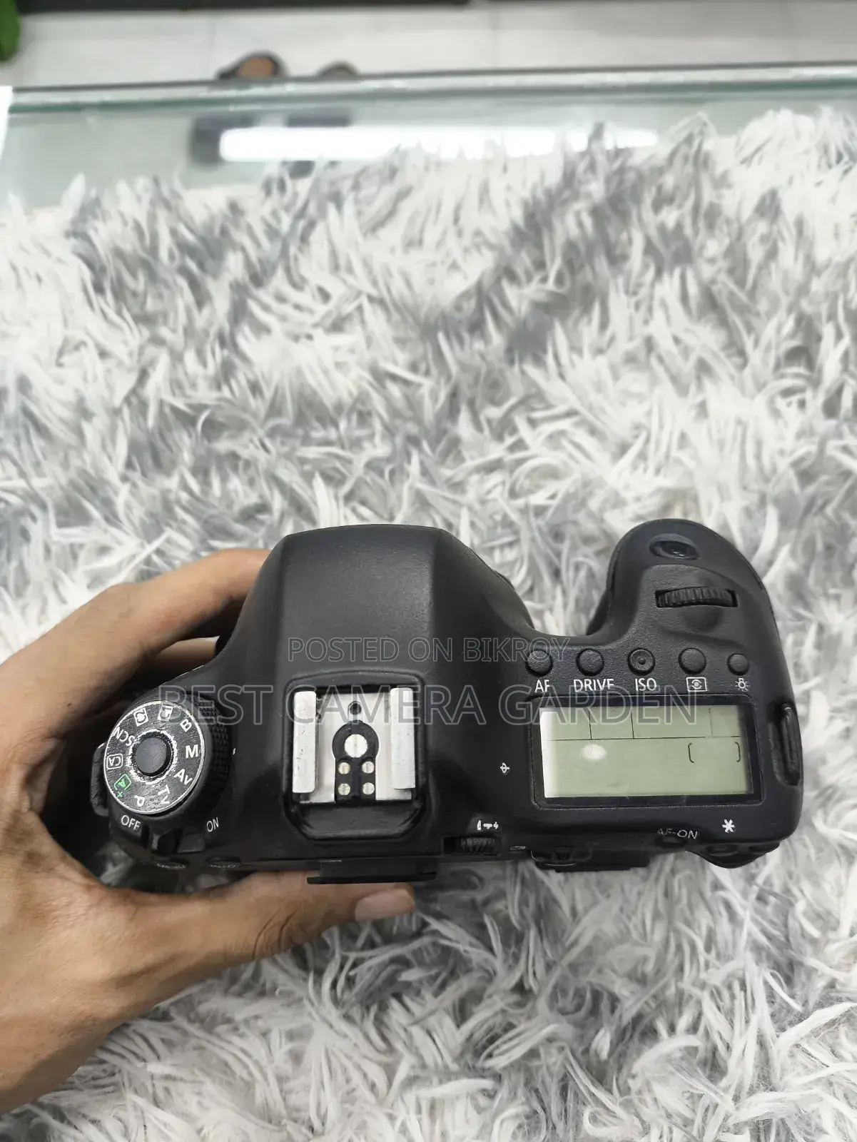 Canon 6D Only Body