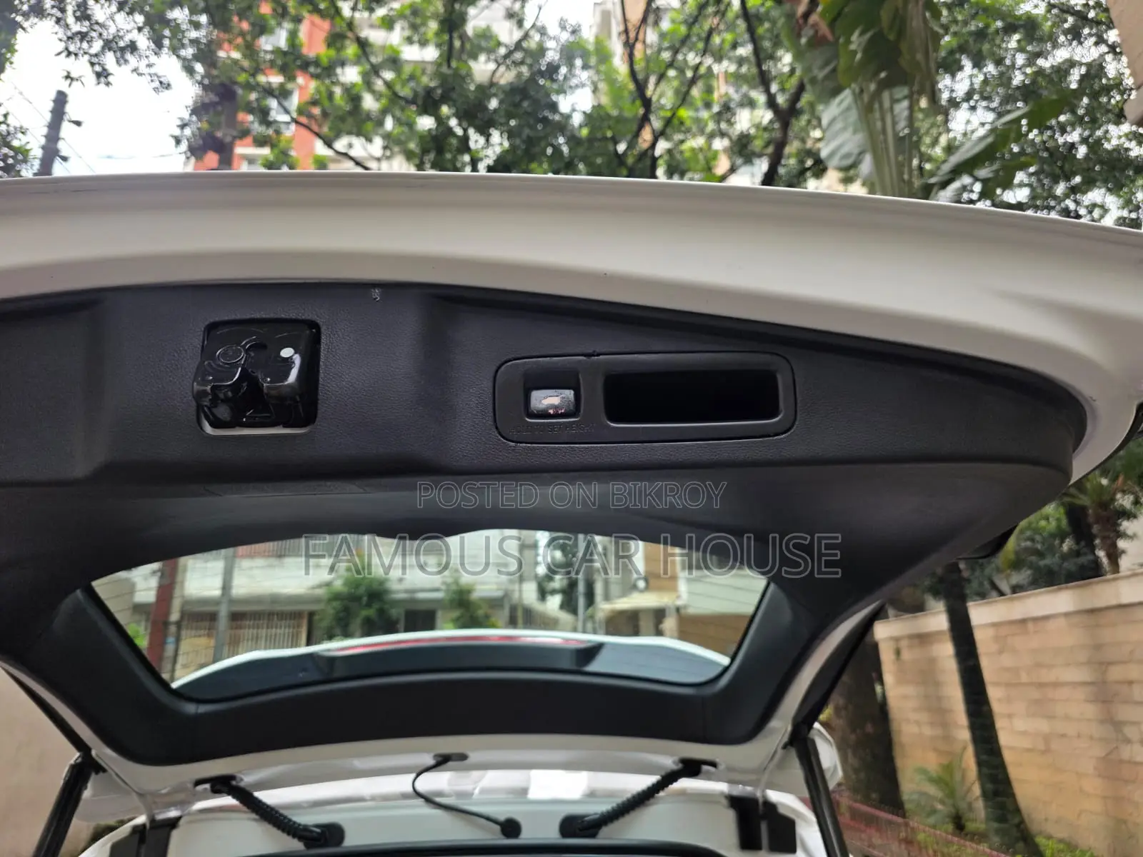 Honda CR-V 2020 Pearl
