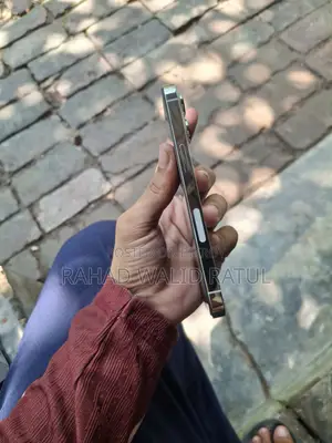 অ্যাপল আইফোন ১৩ প্রো ২৫৬ জিবি সাদা