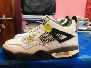 Jordan 4 Shoes