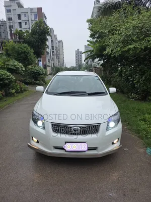 Toyota Axio 2006 Pearl