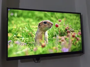 Singer Tv43"