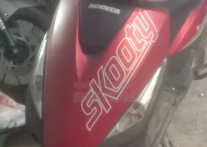 স্কাইগো পনি ১০০ ২০২৩ লাল