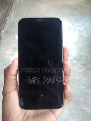 Apple iPhone 12 Pro 256 GB Blue