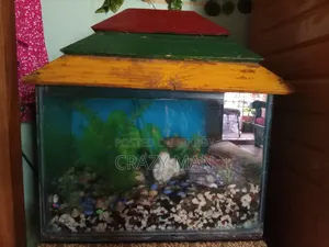 A fish aquarium for sale