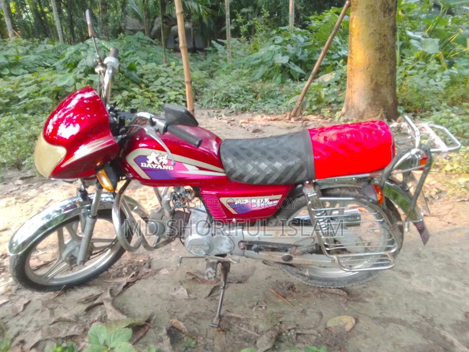 দায়াং ডিওয়াই১০০টি-৮এম ২০১৩ রেড