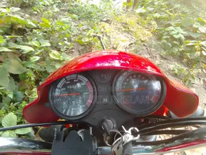 দায়াং ডিওয়াই১০০টি-৮এম ২০১৩ রেড