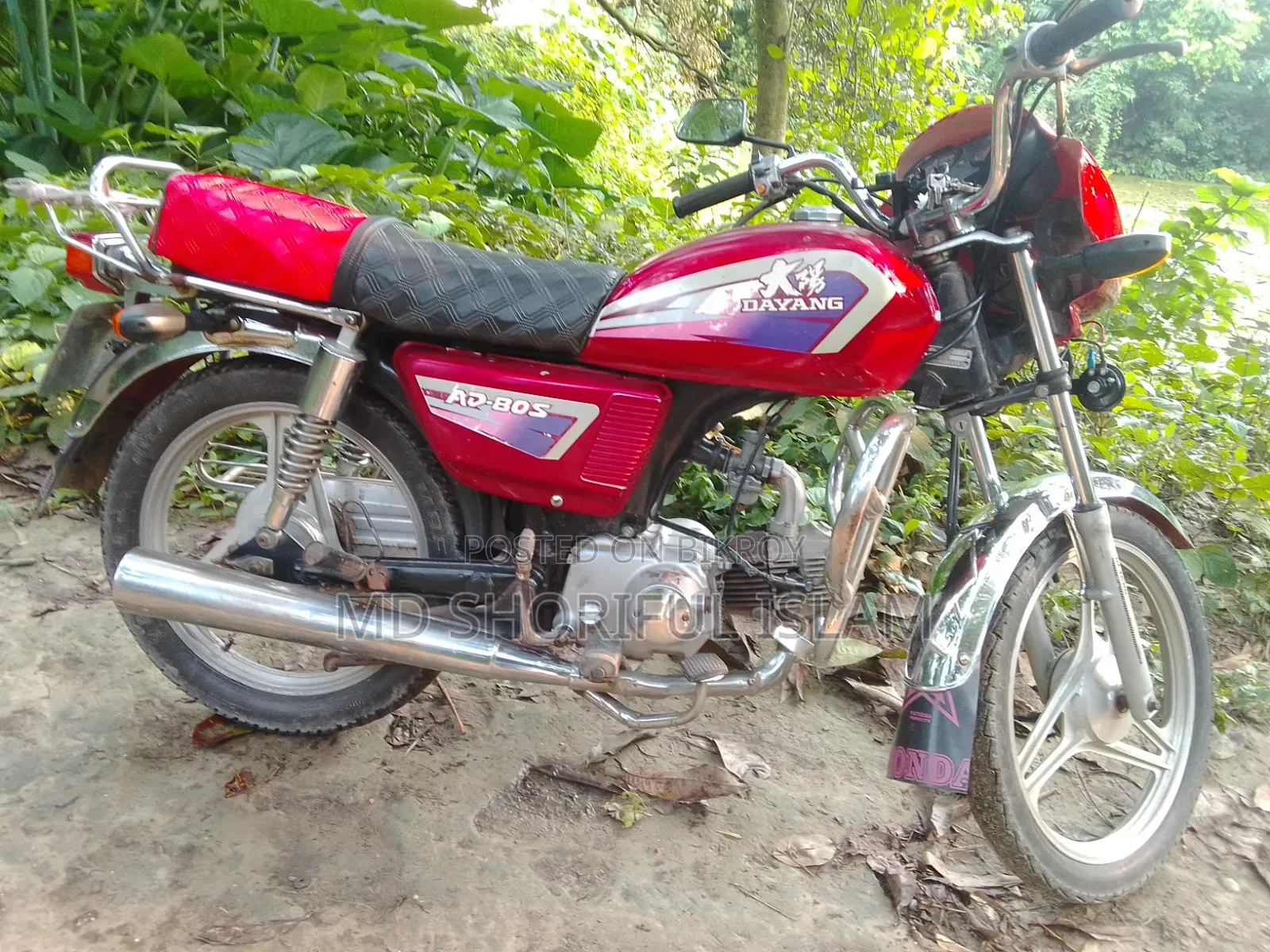 দায়াং ডিওয়াই১০০টি-৮এম ২০১৩ রেড