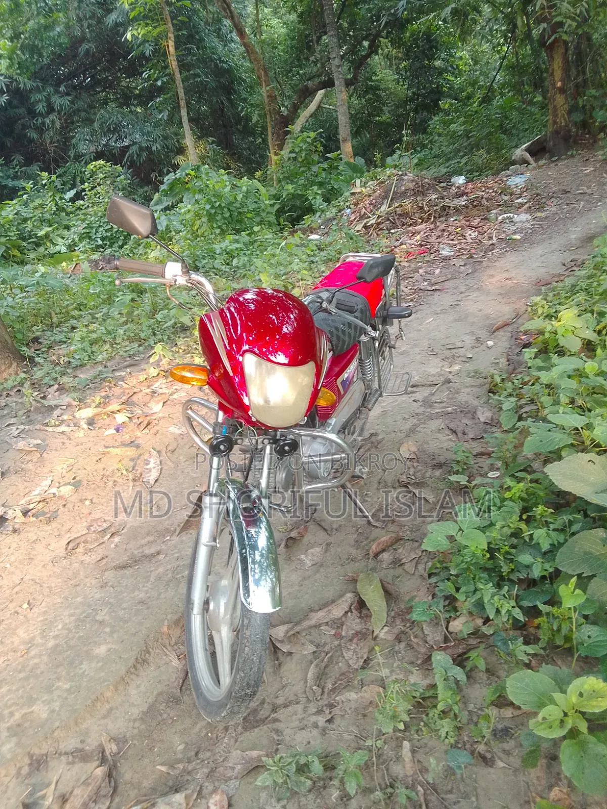 দায়াং ডিওয়াই১০০টি-৮এম ২০১৩ রেড