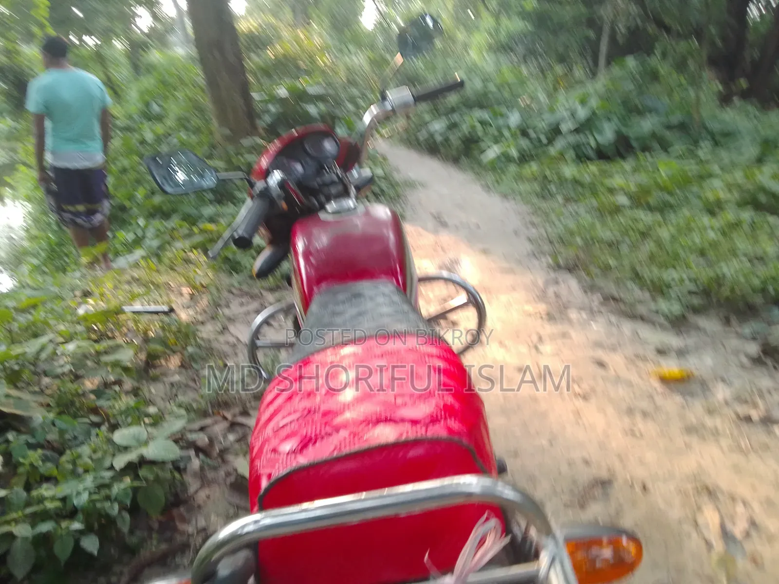দায়াং ডিওয়াই১০০টি-৮এম ২০১৩ রেড