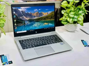 Laptop HP EliteBook 735 G5 8GB AMD Ryzen 5 SSD 128GB
