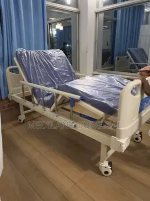 Two Function Hospital Bed (MSL-03)