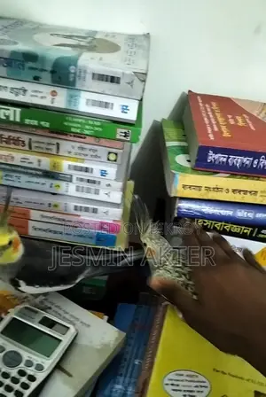 এক জোড়া ককটেল