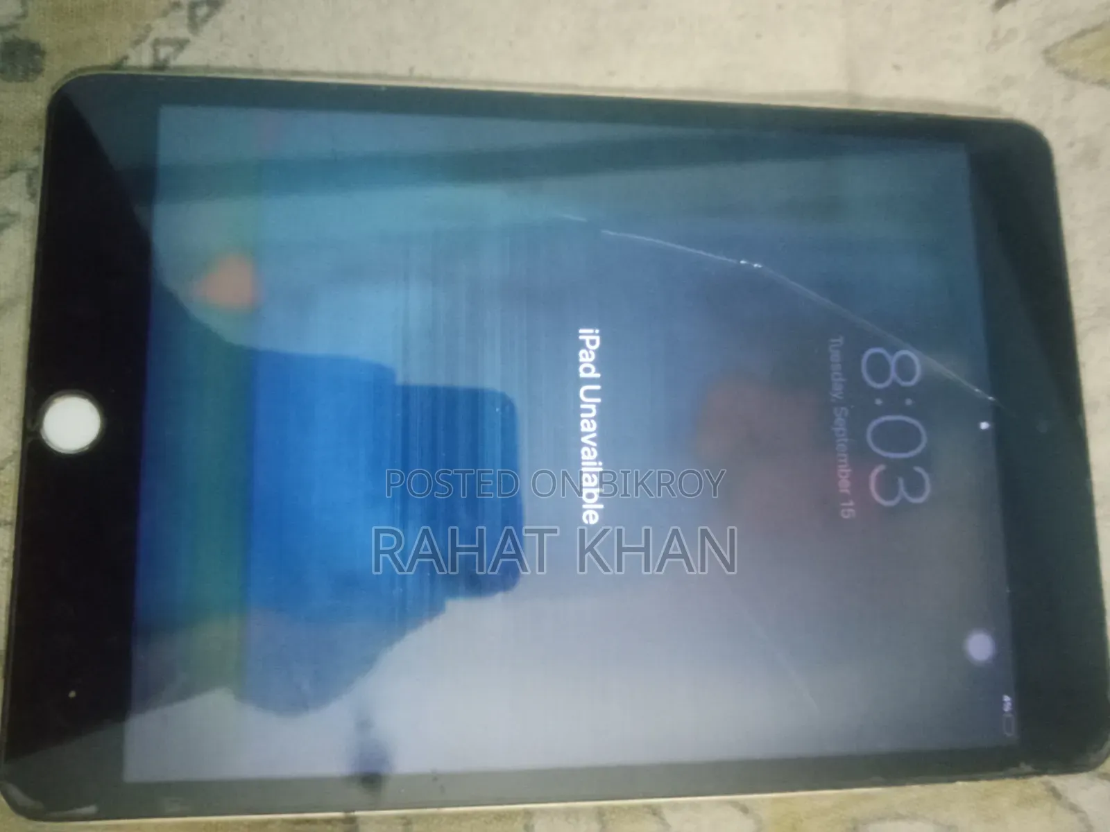 Apple iPad Wi-Fi 4 GB