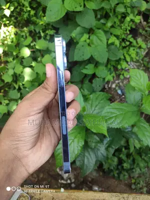 অ্যাপল আইফোন ১৩ প্রো ম্যাক্স ৫১২ জিবি নীল