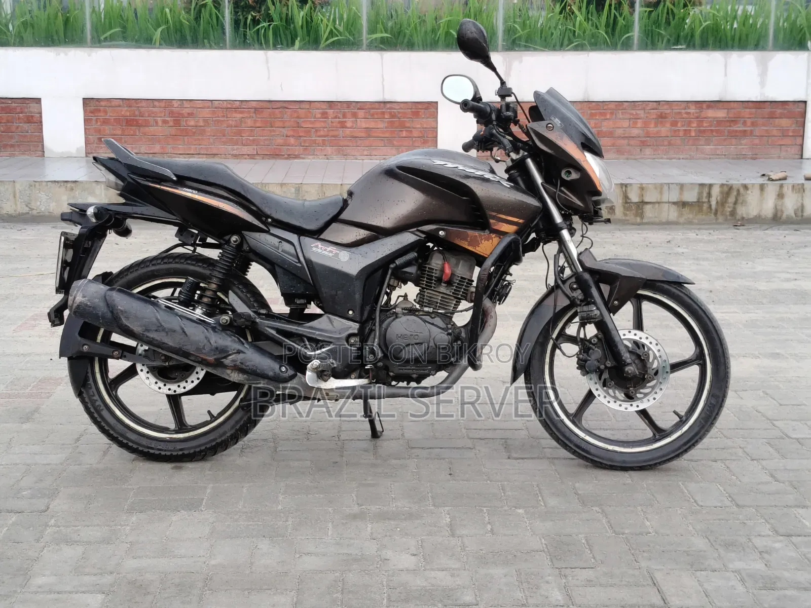 হিরো হাংক ২০১৮ কালো