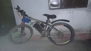 Electric Cycle