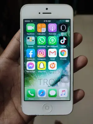 Apple iPhone 5 64 GB Silver