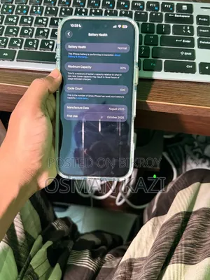 Apple iPhone 17 Pro Max 256 GB Gray