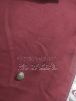 কমন সি শেলস ডেকোরেশন ১৫ পিস
