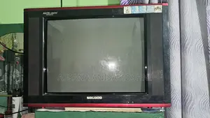 SOGOOD 16" CRT Color TV (Good Condition)
