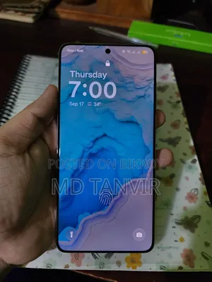 ওয়ানপ্লাস ১৩ ৫১২ জিবি নীল