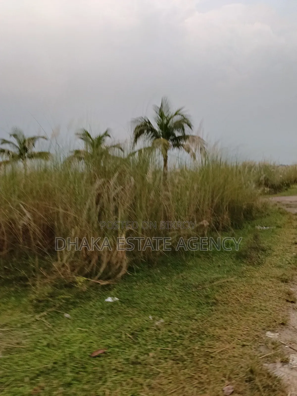Block N, South Face 5 Katha 1200 Serial