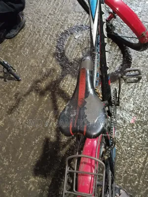 A good quality second-hand Phoenix bicycle will be sold