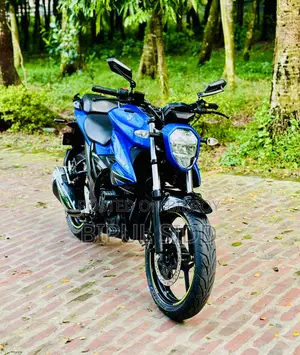 সুজুকি জিক্সার ২০২৪ নীল