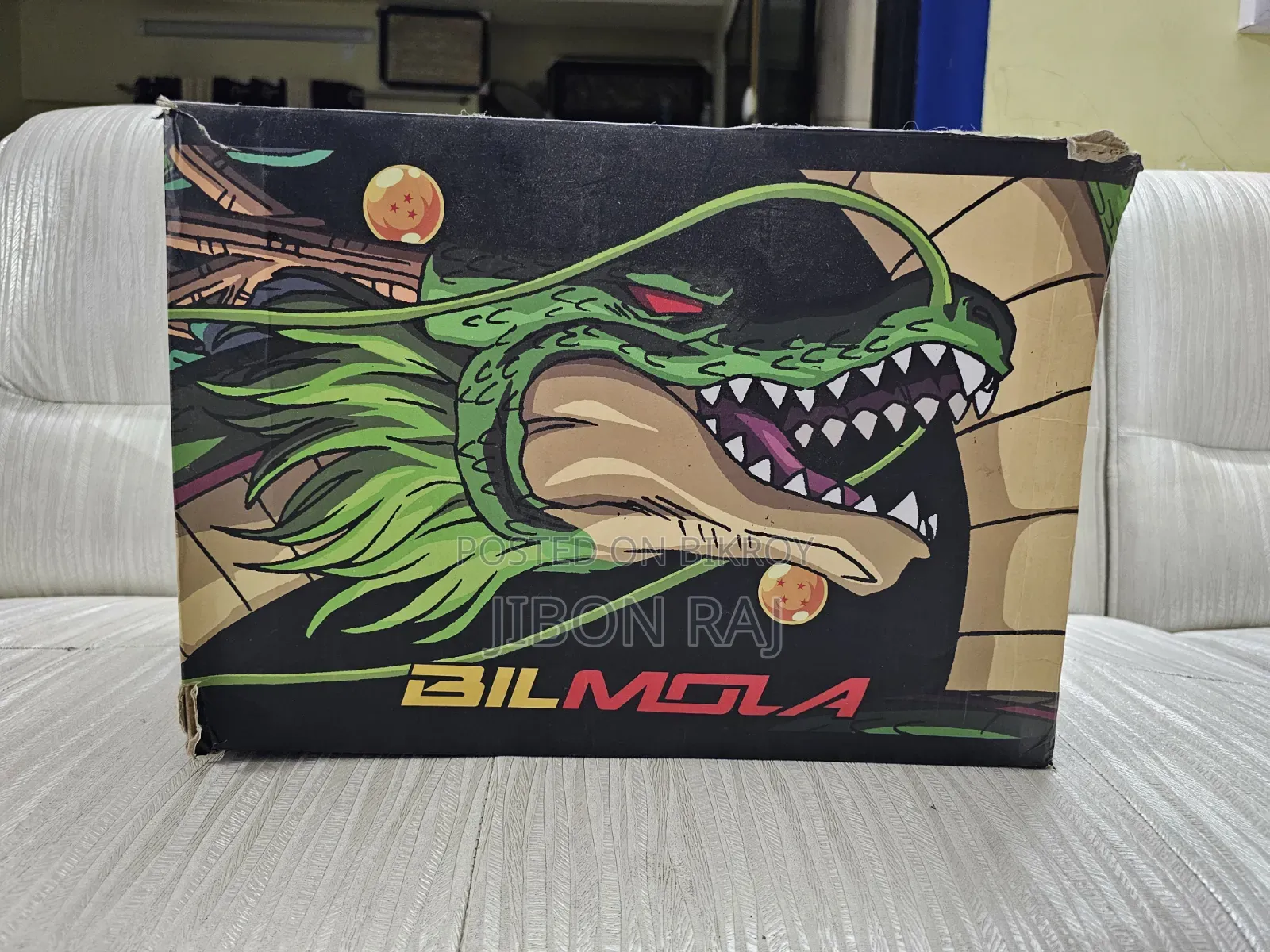 BILMOLA Full Face Helmet