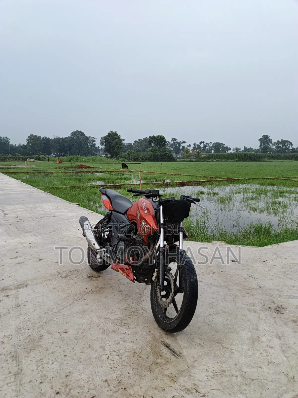 টিভিএস আপাচি আরটিআর ১৬০ টুভি ২০১৭ রেড