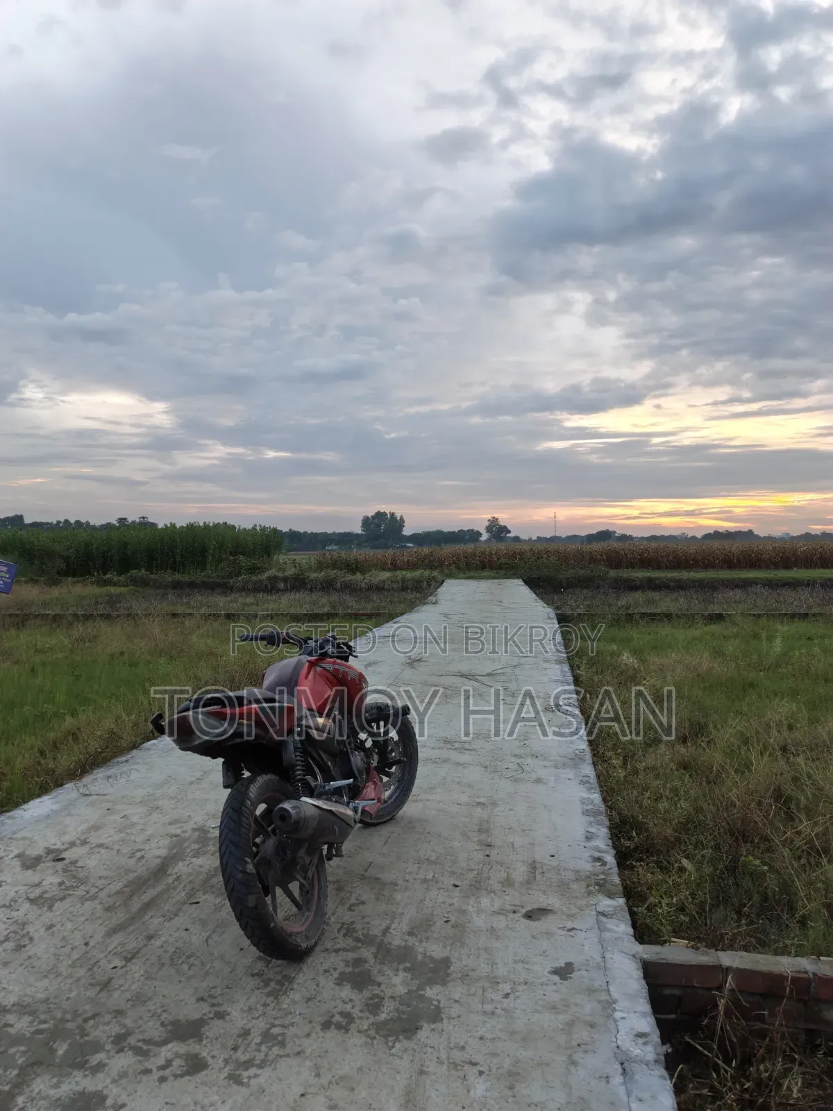 টিভিএস আপাচি আরটিআর ১৬০ টুভি ২০১৭ রেড