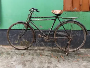 অরিজিনাল চায়না ফিনিক্স সাইকেল