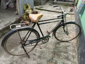 অরিজিনাল চায়না ফিনিক্স সাইকেল