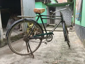 অরিজিনাল চায়না ফিনিক্স সাইকেল