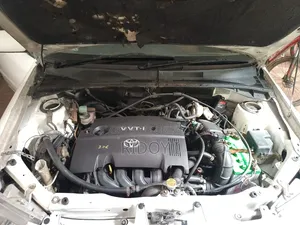 Toyota Succeed 2005 White