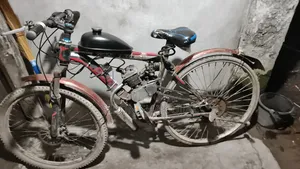 Engine Driven Bicycle