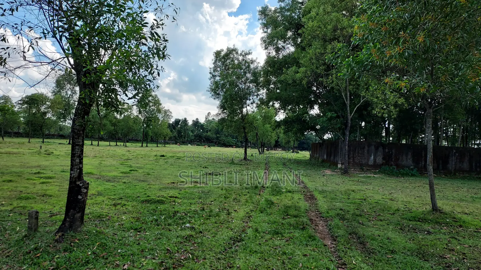 Plot at Boteshwar Sylhet (Near Jalalabad Cantonment)