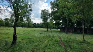 Plot at Boteshwar Sylhet (Near Jalalabad Cantonment)
