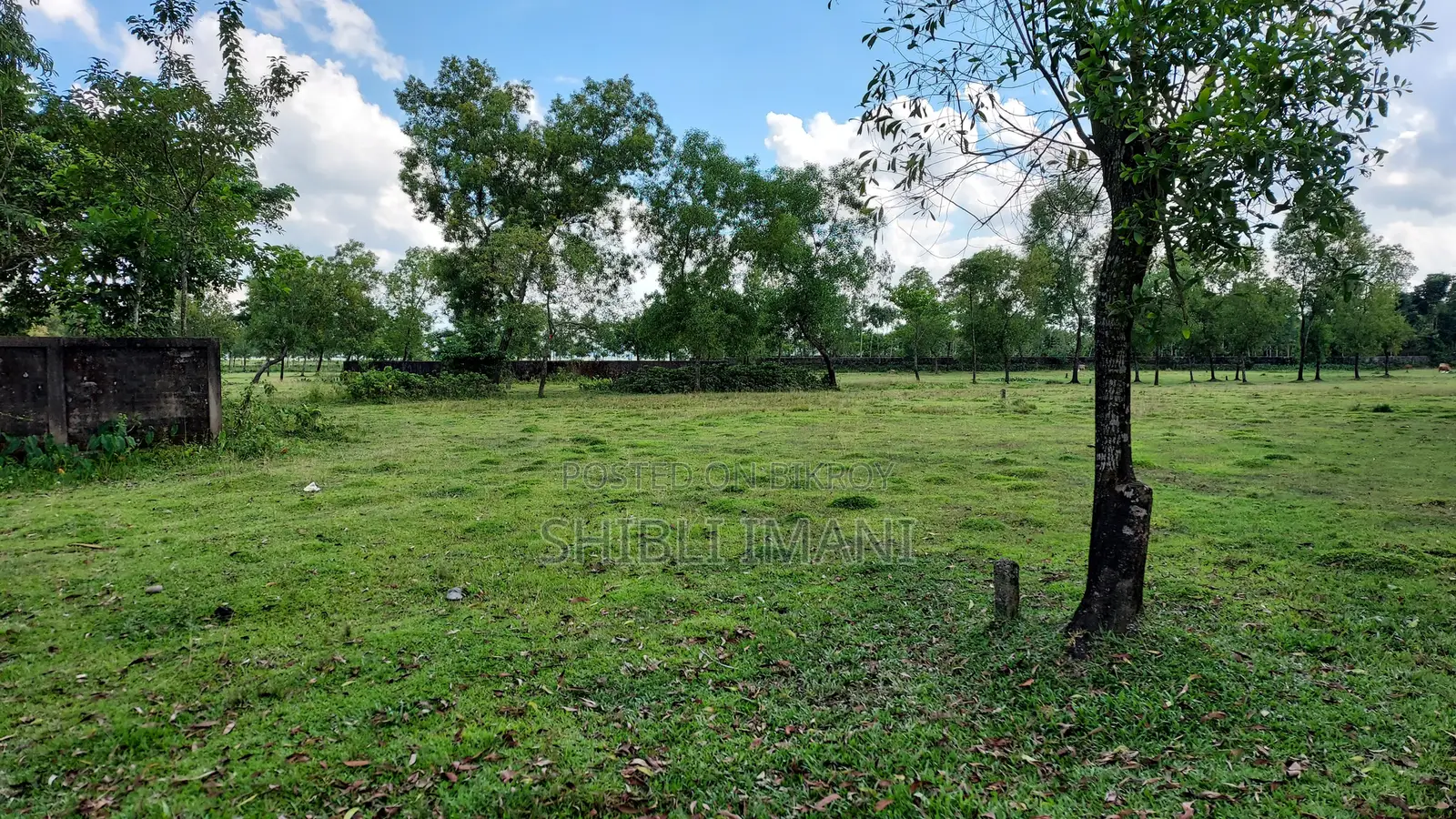 Plot at Boteshwar Sylhet (Near Jalalabad Cantonment)