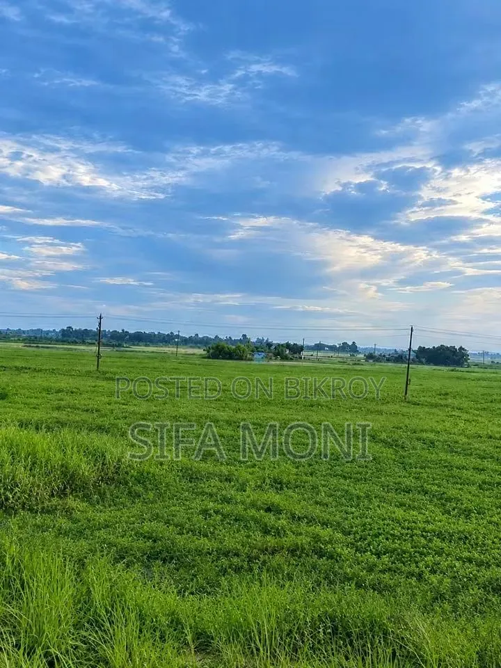 30 decimals of land for sale in Brahmanbaria Nabinagar-Radhika Road area