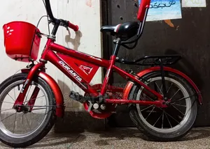 Bicycle for Kids