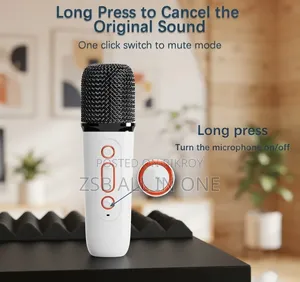 K12 Bluetooth Speaker With Wireless Microphones