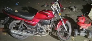Runner BIKE RT 80 2021 Red