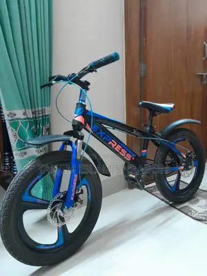 Chinese EXPRESS Cycle