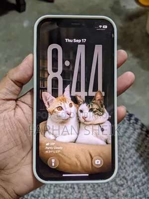 অ্যাপল আইফোন ১২ প্রো ২৫৬ জিবি নীল