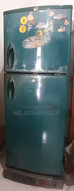 LG Butterfly Fridge